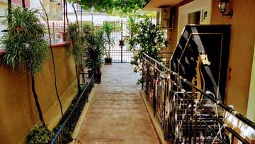 Фотографии Гостевой дом Dracena Guesthouse г. Равда (Болгария) №5 Фото Гостевой дом Dracena Guesthouse г. Равда 5