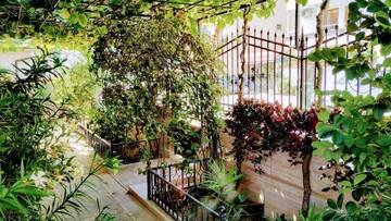 Фотографии Гостевой дом Dracena Guesthouse г. Равда (Болгария) №2 Фото Гостевой дом Dracena Guesthouse г. Равда 2