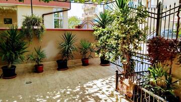 Фотографии Гостевой дом Dracena Guesthouse г. Равда (Болгария) №3 Фото Гостевой дом Dracena Guesthouse г. Равда 3