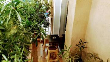 Фото номера Двухместный номер с 1 кроватью и террасой Гостевой дом Dracena Guesthouse г. Равда 6